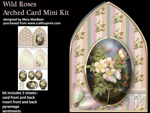 Wild Roses Arched Card Mini Kit