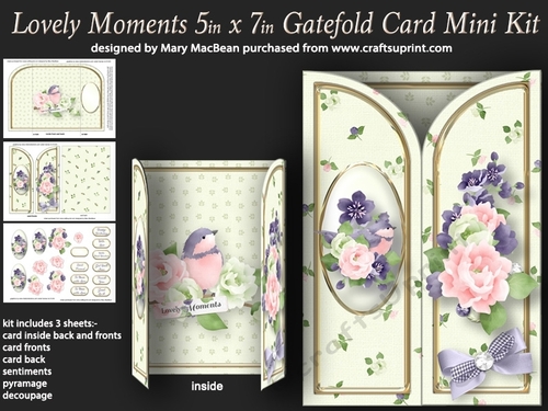 Lovely Moments - 5in x7in Gatefold Card Mini Kit