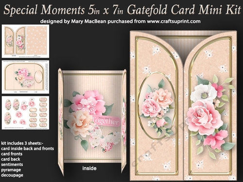 Special Moments - 5in x7in Gatefold Card Mini Kit