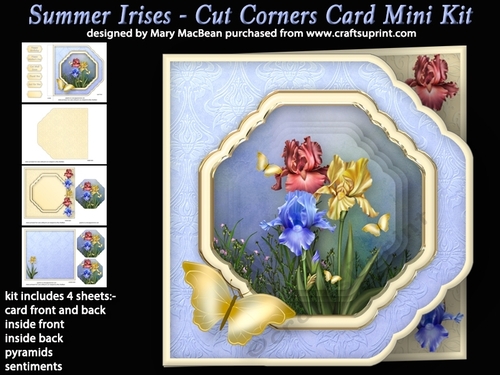 Summer Irises - Cut Corners Card Mini Kit
