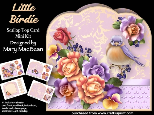 Little Birdie - Scallop Top Card Mini Kit