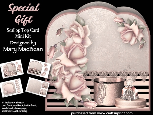 Special Gift - Scallop Top Card Mini Kit