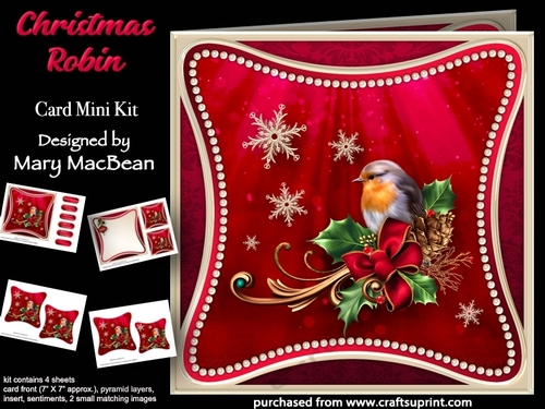 Christmas Robin - Curved Frame Card Mini Kit