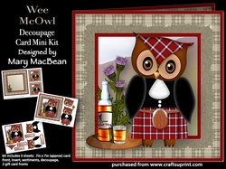 Wee McOwl - Decoupage Card Mini Kit