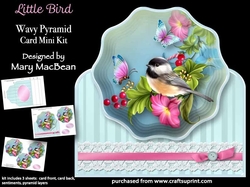 Little Bird - Wavy Pyramid Card Mini Kit