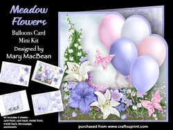 Meadow Flowers - Balloons Card Mini Kit