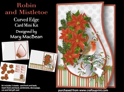 Robin and Mistletoe - Curved Edge Card Mini Kit