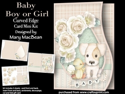 Baby Boy or Girl - Curved Edge Card Mini Kit