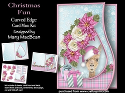 Christmas Fun - Curved Edge Card Mini Kit