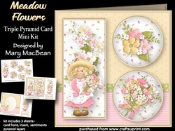 Meadow Flowers - Triple Pyramid Card Mini Kit