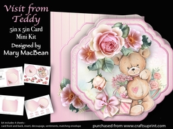 Visit from Teddy - 5 in x 5 in Shaped Card & Envelope Mini Kit