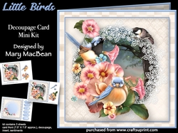 Little Birds - Decoupage Card Mini Kit