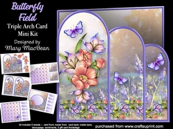 Butterfly Field - Triple Arch Card Mini Kit