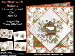 Birdbox with Robins - Diamond Pyramid Card Mini Kit
