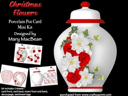 Christmas Flowers - Porcelain Pot Card Mini Kit