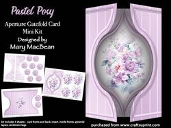 Pastel Posy - Aperture Gatefold Card Mini Kit