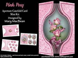Pink Posy - Aperture Gatefold Card Mini Kit
