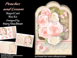 Peaches and Cream - Shaped Card Mini Kit