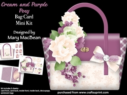 cup1147743_1648 - Cream and Purple Posy - Bag Card Mini Kit
