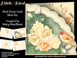 Little Bird - Shell Front Card Mini Kit