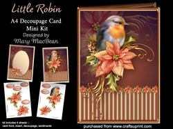 Little Robin - A4 Decoupage Card Mini Kit