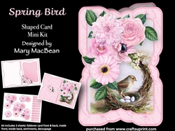 Spring Bird - Shaped Card Mini Kit