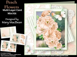 Peach Flowers - Multi-Layer Card Mini Kit