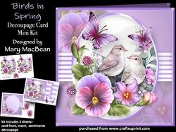Birds in Spring - Decoupage Card Mini Kit