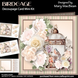 Birdcage - Decoupage Card Mini Kit