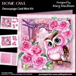 Rosie Owl - Decoupage Card Mini Kit