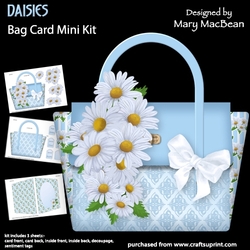Daisies - Bag Card Mini Kit