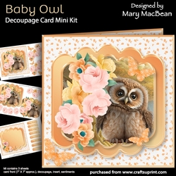 Baby Owl - Decoupage Card Mini Kit