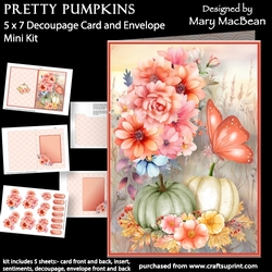 Pretty Pumpkins - 5 x 7 Card and Envelope Mini Kit