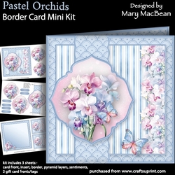 Image of cup1268940_1648 - Pastel Orchids - Border Card Mini Kit