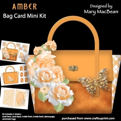Amber - Bag Card Mini Kit