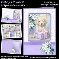 Puppys Present - A5 Pyramid Card Mini Kit