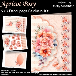 Apricot Posy - 5 x 7 Decoupage Card Mini Kit
