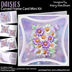 Daisies - Curved Frame Card Mini Kit