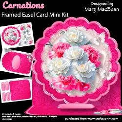 Carnations - Framed Easel Card Mini Kit