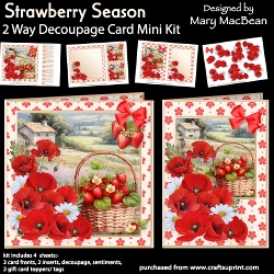 Strawberry Season - 2 Way Decoupage Card Mini Kit