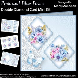 cup1374737_1648 - Pink and Blue Posies - Double Diamond Card Mini Kit