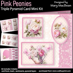 cup1381792_1648 - Pink Peonies - Triple Pyramid Card Mini Kit