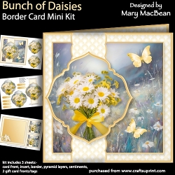 Bunch of Daisies - Border Card Mini Kit