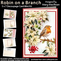 Image of cup1384815_1648 - Robin on a Branch - 5x7 Decoupage Card Mini Kit