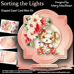 cup1460110_1648 - Sorting the Lights - Shaped Easel Card Mini Kit