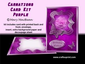 Purple Carnations