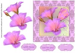 Pink Hibiscus