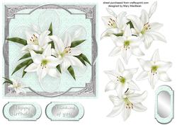 Flowers and Lace Lilies
