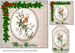 Christmas Robin Quick Card