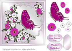Gerberas and Butterfly